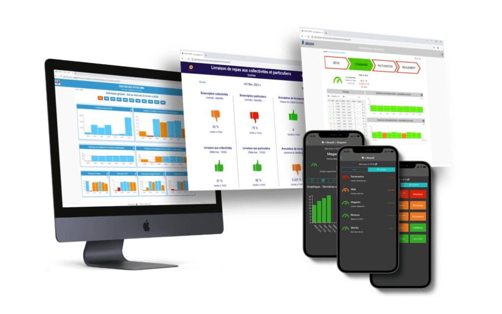 exemples d'interfaces du logiciel visual BAM